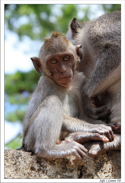 2012 - 07 - Bali - 06